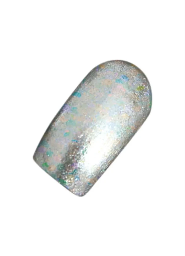 Lar e Lazer - Kit Glitters para Unhas Prata 2 Peças 6