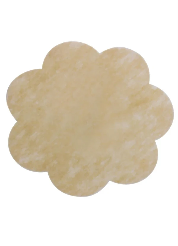 Lar e Lazer - Protetor de Mamilos Bege 5 Unidades 2