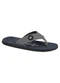 Br Sport - Chinelo Br Sport Café - variação: Cinza