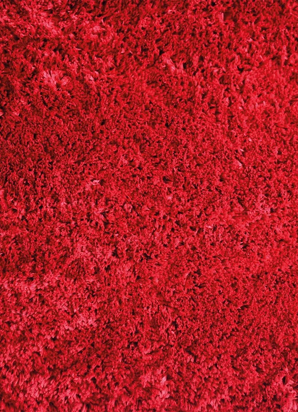 Lar e Lazer - Tapete Felpudo Bordô 50x100 cm 5