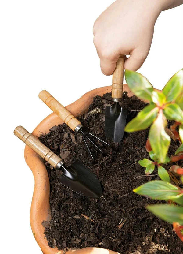 Lar e Lazer - Kit Ferramentas para Jardinagem Metal 3 Peças 2