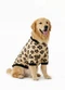 Quimby - Blusão para Pet em Cotton Estampado Bege - variação:  