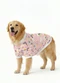 Quimby - Blusão para Pet em Cotton Estampado Bege - variação:  