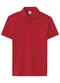 Malwee - Camiseta Polo Masculina Marinho 02023-Marinho - variação: 02226-vermelho