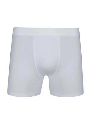 Cueca Lupo Boxer Cotton 615-02 - LUPO
