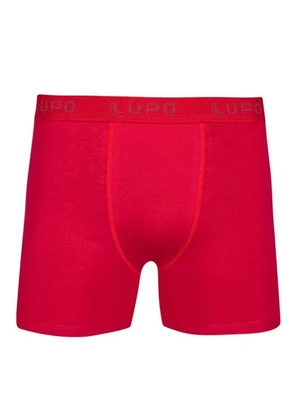 Cueca Lupo Boxer Cotton 615-02 - LUPO