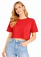 Infinita Cor - Blusa Feminina Básica Malha Suplex Cinza - variação: Laranja