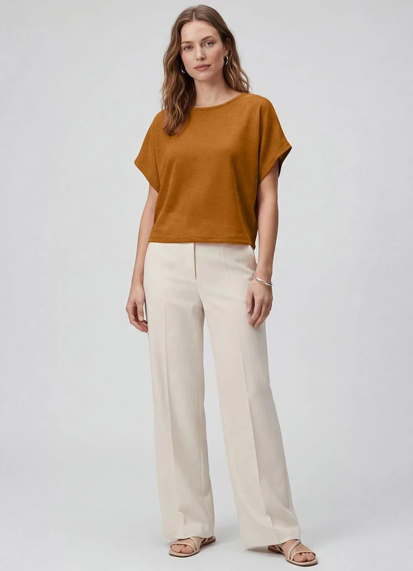 Infinita Cor - Blusa Feminina Manga Curta Marrom 2