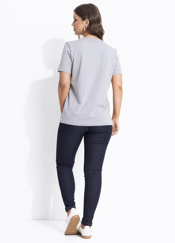 Colcci - Camiseta Cinza 2