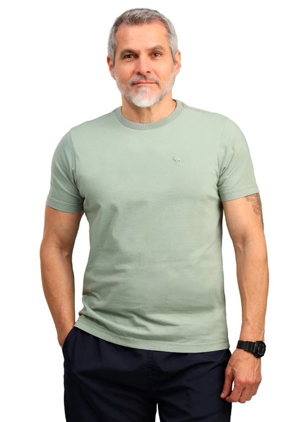 Biogás - Camiseta Lavanderia M/C Meia Malha Verde Chá