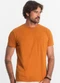 Select - Camiseta Masculina Básica Azul - variação: Marrom