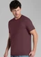 Aurus - Camiseta Cinza - variação: Vinho
