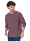 Malwee - Camiseta Fio a Fio Marrom Escuro - variação: Bordô