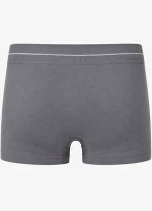 Rovitex - Cueca Boxer Lisa Microfibra Cinza - ROVITEX