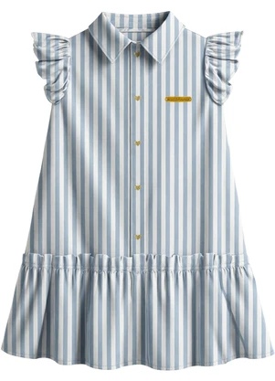 Carinhoso - Vestido Chemise Listrado Azul - CARINHOSO