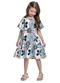 Bee Loop - Vestido Floral Cotton Infantil Azul - variação: Azul