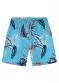 Rovi Kids - Bermuda Infantil Folhagem Verde - variação: Azul