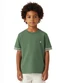 Carinhoso - Camiseta Básica com Bordado em Malha Azul - variação: Verde