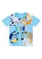 Brandili - Camiseta Infantil Menino em Meia Malha Azul - variação: Azul