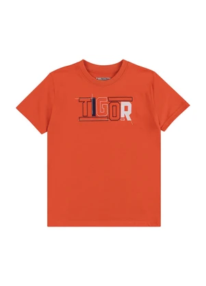 Tigor T Tigre - Camiseta Manga Curta Laranja - TIGOR T TIGRE