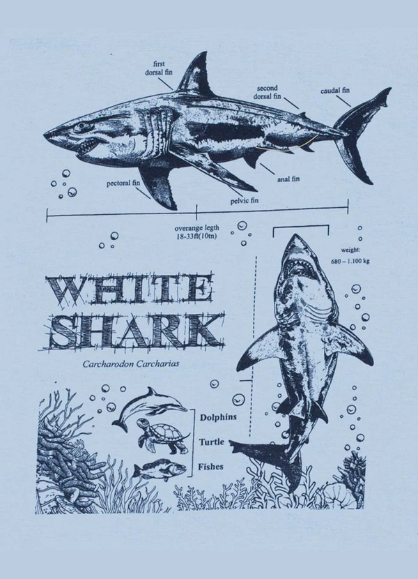 Pulla Bulla - Camiseta Meia Malha Azul 2