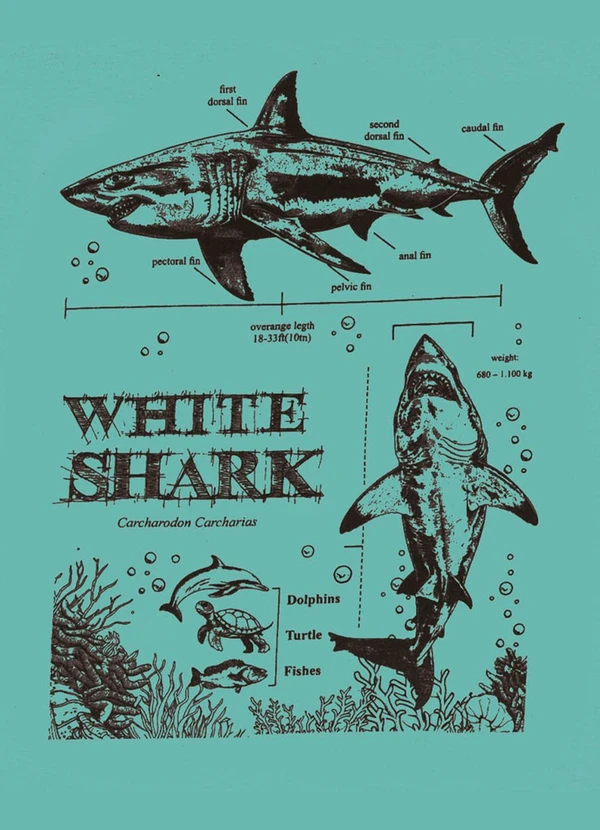 Pulla Bulla - Camiseta Meia Malha Verde 2