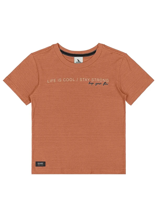 Quimby - Camiseta Menino Meia Malha Flamê Marrom 3