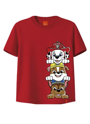Malwee Kids - Camiseta Patrulha Canina® em Malha Vermelho - MALWEE KIDS