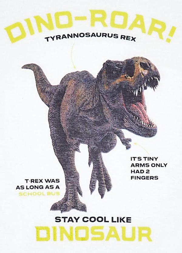 Pulla Bulla - Camiseta Menino Branco 2