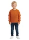 Malwee Kids - Camiseta Super Dino em Botonê Laranja - variação: Laranja
