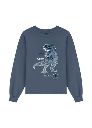 Ddk - Conjunto Infantil Dino T Rex Azul - DDK