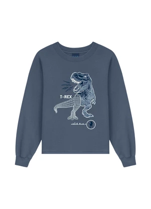 Ddk - Conjunto Infantil Dino T Rex Azul - DDK