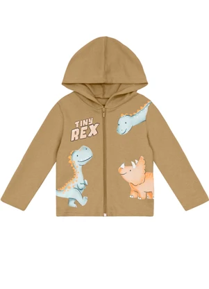 Brandili - Conjunto Infantil Menino de Dinossauro Marrom - BRANDILI