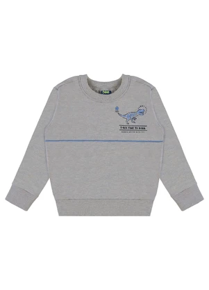 Bee Loop - Conjunto T-Rex Time Infantil Cinza - BEE LOOP