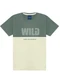 Ddk - Conjunto Camiseta Estampa Wheels e Bermuda Bege - variação: Verde
