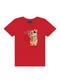 Ddk - Conjunto Camiseta Estampa Leão e Bermuda Verde - variação: Vermelho