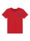 Ddk - Conjunto Camiseta Estampa Wheels e Bermuda Bege - variação: Vermelho