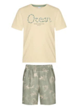 Alakazoo - Conjunto com Bermuda Estampada e Camiseta Verde - ALAKAZOO