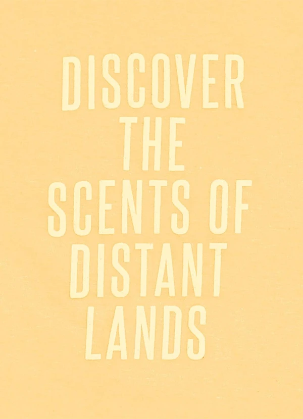 Pulla Bulla - Conjunto Meia Malha Amarelo 4