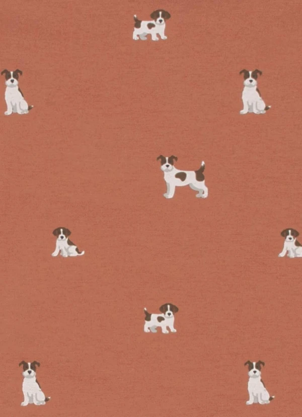 Pulla Bulla - Conjunto Meia Malha Laranja 6