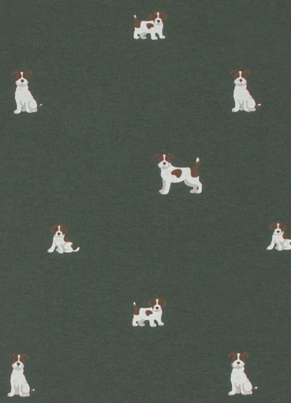 Pulla Bulla - Conjunto Meia Malha Verde 6