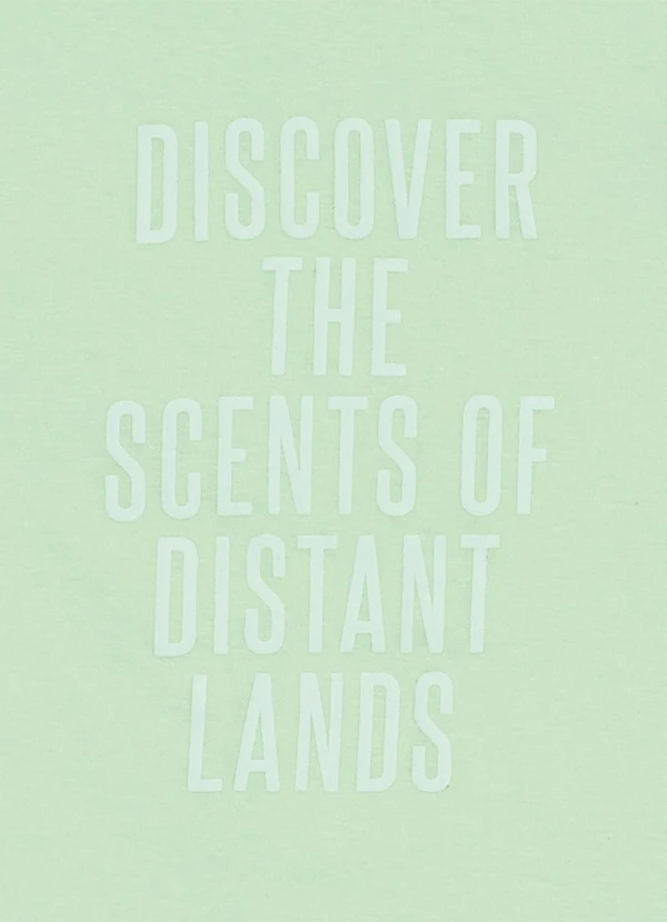 Pulla Bulla - Conjunto Meia Malha Verde 4