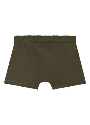 Quimby - Sunga Boxer com Fps +50 Verde - QUIMBY