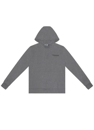 Minty - Blusão Juvenil Masculino com Capuz Cinza - MINTY