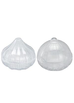 Kit Alho e Cebolo (Transparente)