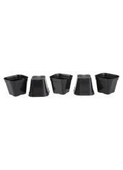 Kit Vasos Quadrados Suculentas Preto 5 Peas