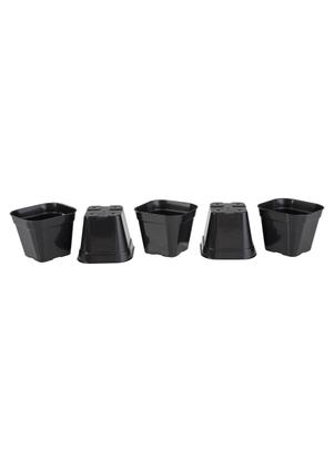 Kit Vasos Quadrados Suculentas (Preto) 5 Peas