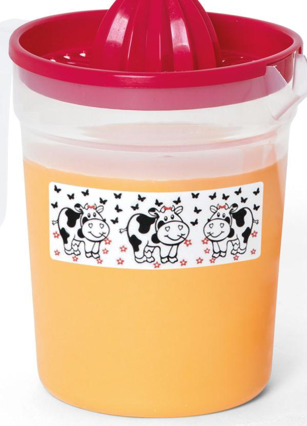 Lar e Lazer - Jarra com Espremedor Nina 2