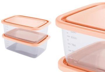Kit 2 Organizadorre Retangulares Incolor 1,47l