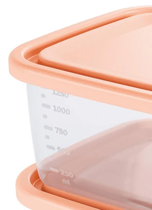 Giplas - Kit 2 Organizadorre Retangulares Incolor 1,47l - GIPLAS